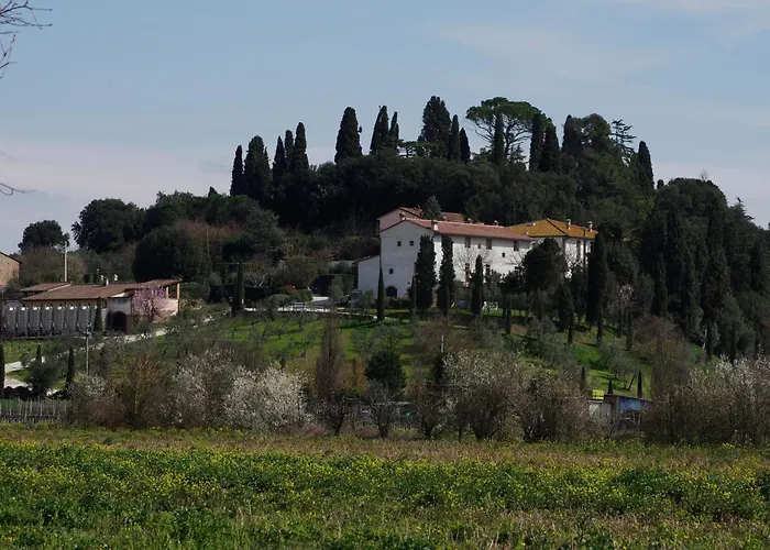 Villa Bacco a Petroio Vinci